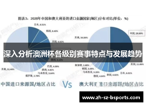 深入分析澳洲杯各级别赛事特点与发展趋势